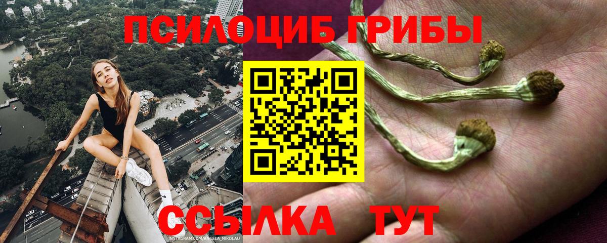 Новочебоксарск  Псилоцибиновые грибы мухоморы  Псилоцибиновые грибы мухоморы  Вход с VPN 